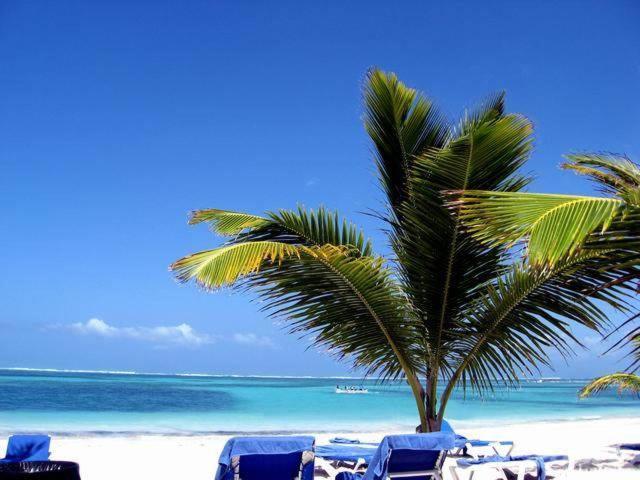 Larimar Beach Punta Cana Hotel Buitenkant foto
